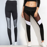 Wolph's Active Spliced Mesh design Yoga Pants